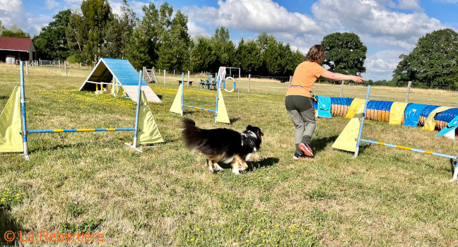 Découverte du passage de haies en Agility loading=