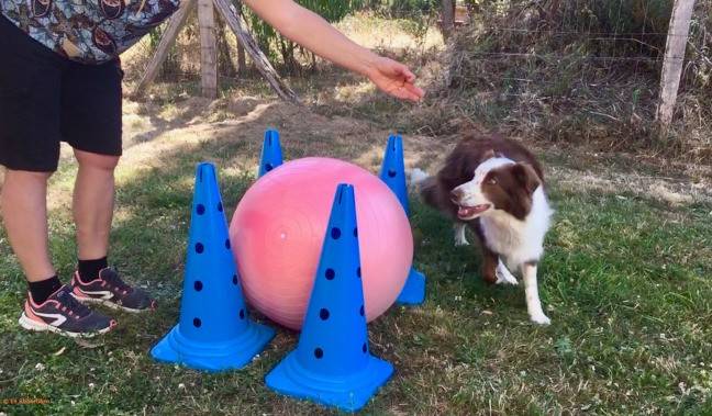Découverte du Treiball